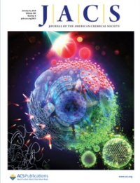 Journal of the American Chemical Society publication