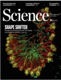 Science publication